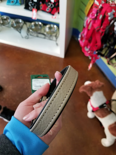 Pet Supply Store «Two Bostons», reviews and photos, 2523 W 75th St, Naperville, IL 60540, USA