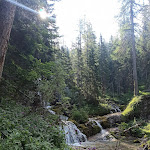 Photo n°8 de l'avis de Farhan.h fait le 19/07/2022 à 08:01 sur le  Vallesinella à Madonna di Campiglio