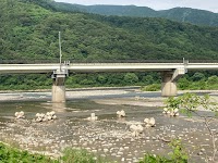 清川河川公園河川グラウンド