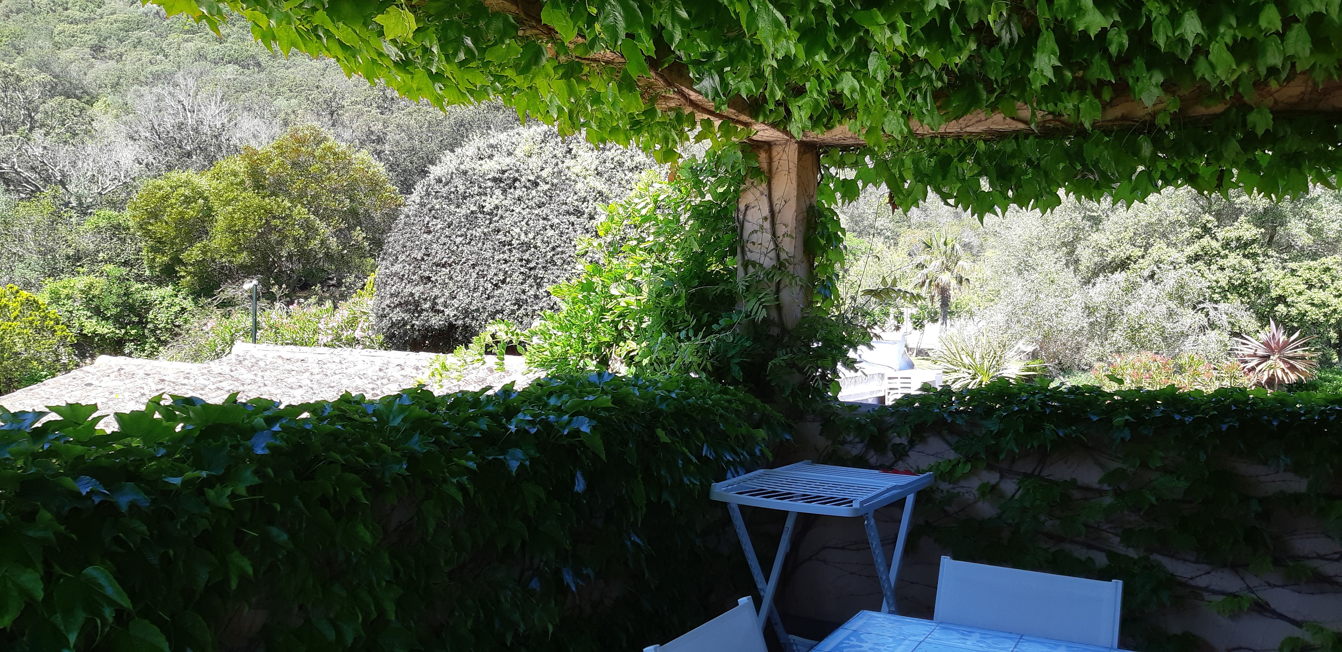 Photo n° 10 de l'avis de Patricia.u fait le 22/06/2019 à 20:59