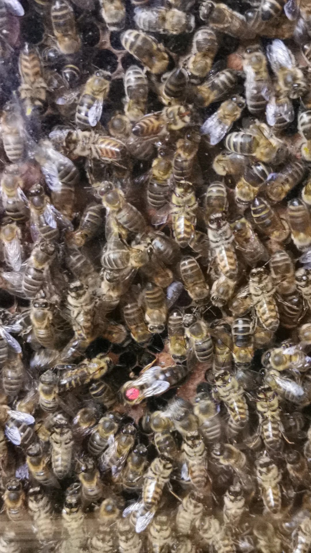 Photo n° 2 de l'avis de GHERBAL.A fait le 18/08/2022 à 16:51