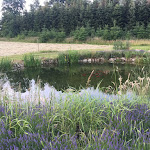 Photo n°6 de l'avis de Anke.e fait le 16/06/2022 à 12:53 sur le  Landidyll Hotel Restaurant Birkenhof à Klosterkumbd