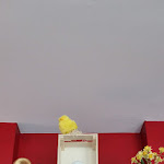 Photo n°5 de l'avis de Frau. fait le 11/04/2023 à 06:52 sur le  Louisiana - Steakhaus & Südstaaten-Restaurant à Erfurt