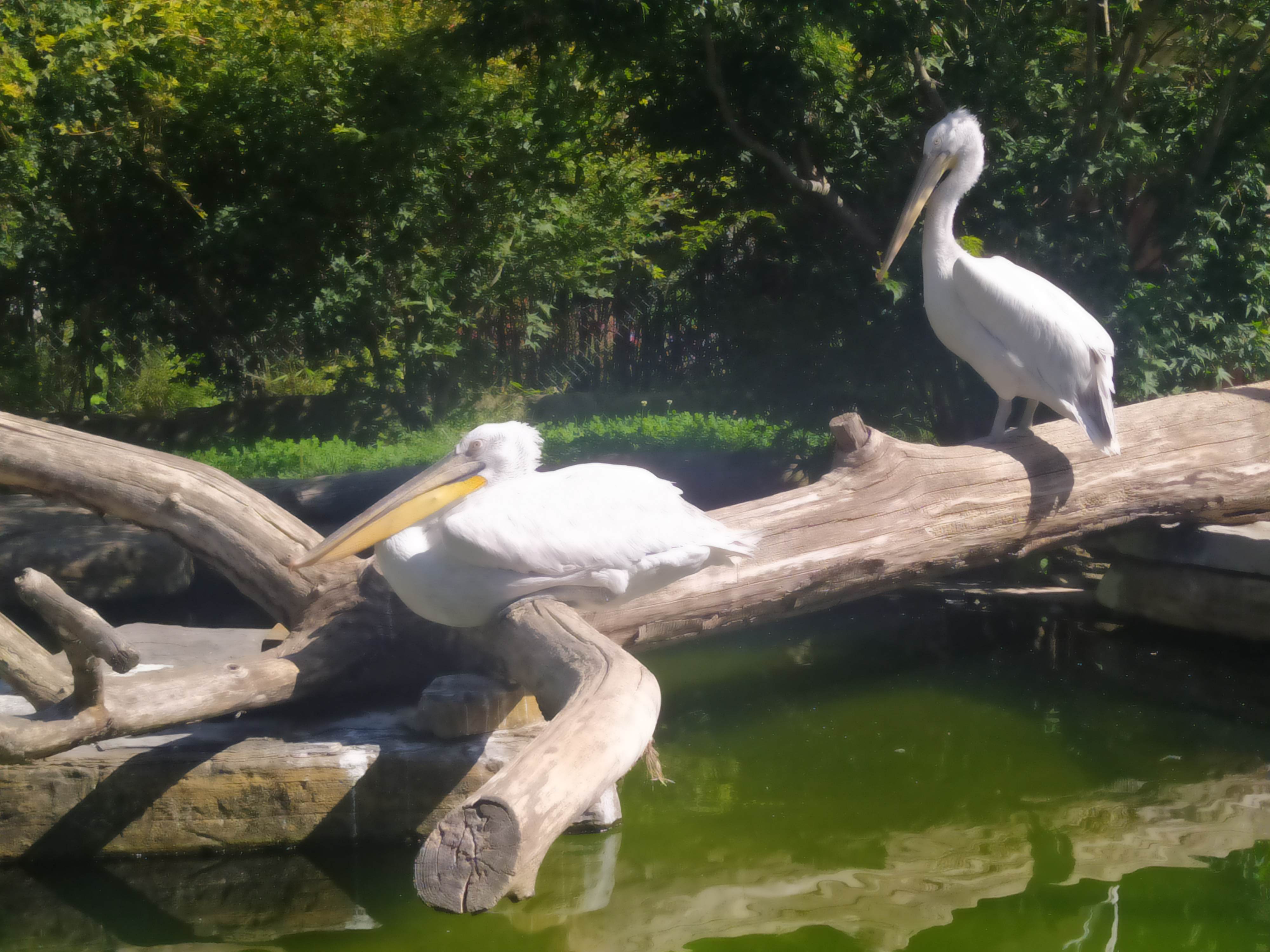 Photo n° 3 de l'avis de Céli.. fait le 11/08/2023 à 16:44