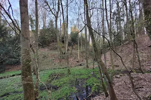 Wälder bei Hugenpoet und Landsberg image