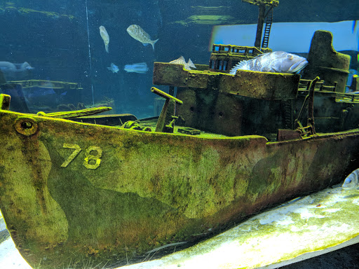 Tourist Attraction «IMAG History & Science Center (formerly Imaginarium Science Center)», reviews and photos, 2000 Cranford Ave, Fort Myers, FL 33916, USA