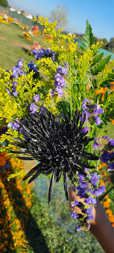 Cemetery «San Fernando Mission Catholic Cemetery», reviews and photos, 11160 Stranwood Ave, Mission Hills, CA 91345, USA