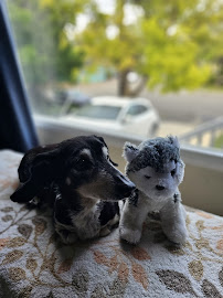 The Farmers Pet Care - Photo 8 - Car repair in , San Francisco