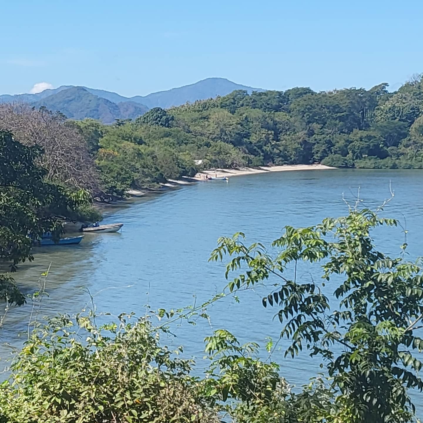 Isla Venado photo #8