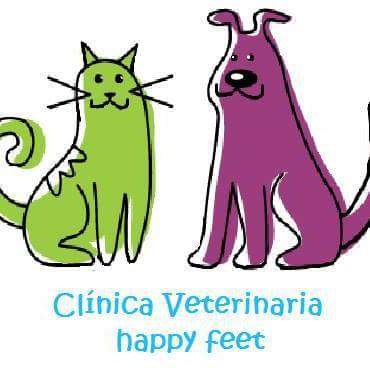 Clínica veterinaria Happy Feet , Frutillar