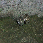 Photo n°2 de l'avis de Giovanna.i fait le 02/12/2018 à 16:43 sur le  Bar Don Egidio à Antillo