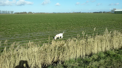 Maatschap A.L. Burgers, M.C. Abrahamse/C.J. van Houdt