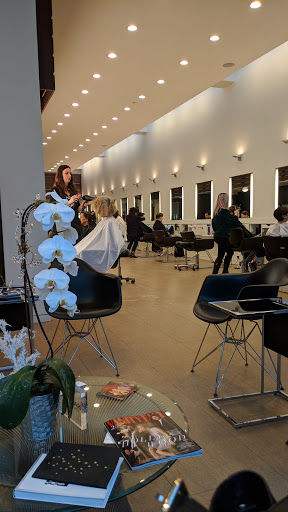 Beauty Salon «Figo Salon», reviews and photos, 265 N Old Woodward Ave, Birmingham, MI 48009, USA