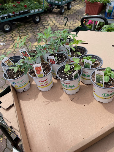 Florist «Dutch & Olgas Greenhouse», reviews and photos, 1285 NJ-36, Hazlet, NJ 07730, USA