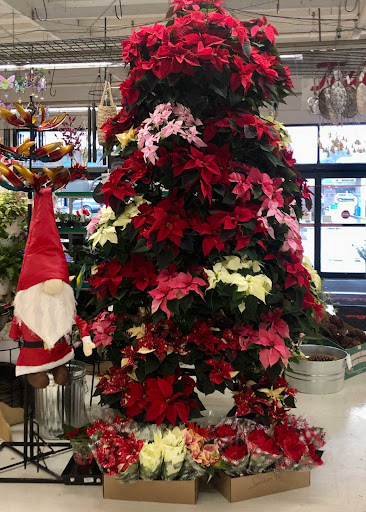 Home Improvement Store «Junction True Value Hardware», reviews and photos, 4747 44th Ave SW, Seattle, WA 98116, USA