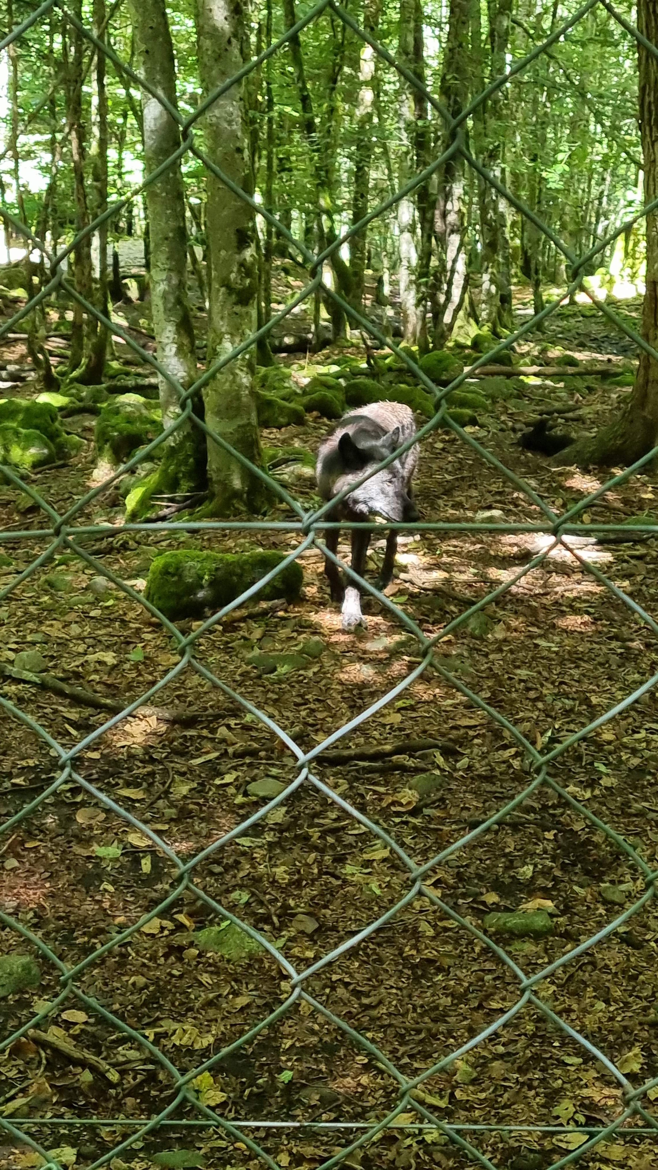 Photo n° 3 de l'avis de Laetitia.a fait le 27/08/2022 à 15:00