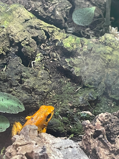 Pet Store «Birds & Beasts Pet Shop», reviews and photos, 35 Berkshire Dr # 18, Crystal Lake, IL 60014, USA