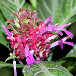 Photo n°5 de l'avis de Edith.� fait le 18/02/2024 à 23:09 sur le  Gesellschaftshaus Palmengarten à Frankfurt