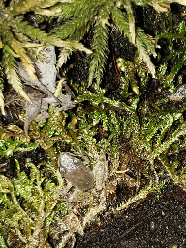 Pet Supply Store «Petco Animal Supplies», reviews and photos, 178 Township Blvd, Camillus, NY 13031, USA