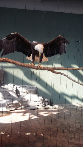 Aquarium «South Carolina Aquarium», reviews and photos, 100 Aquarium Wharf, Charleston, SC 29401, USA