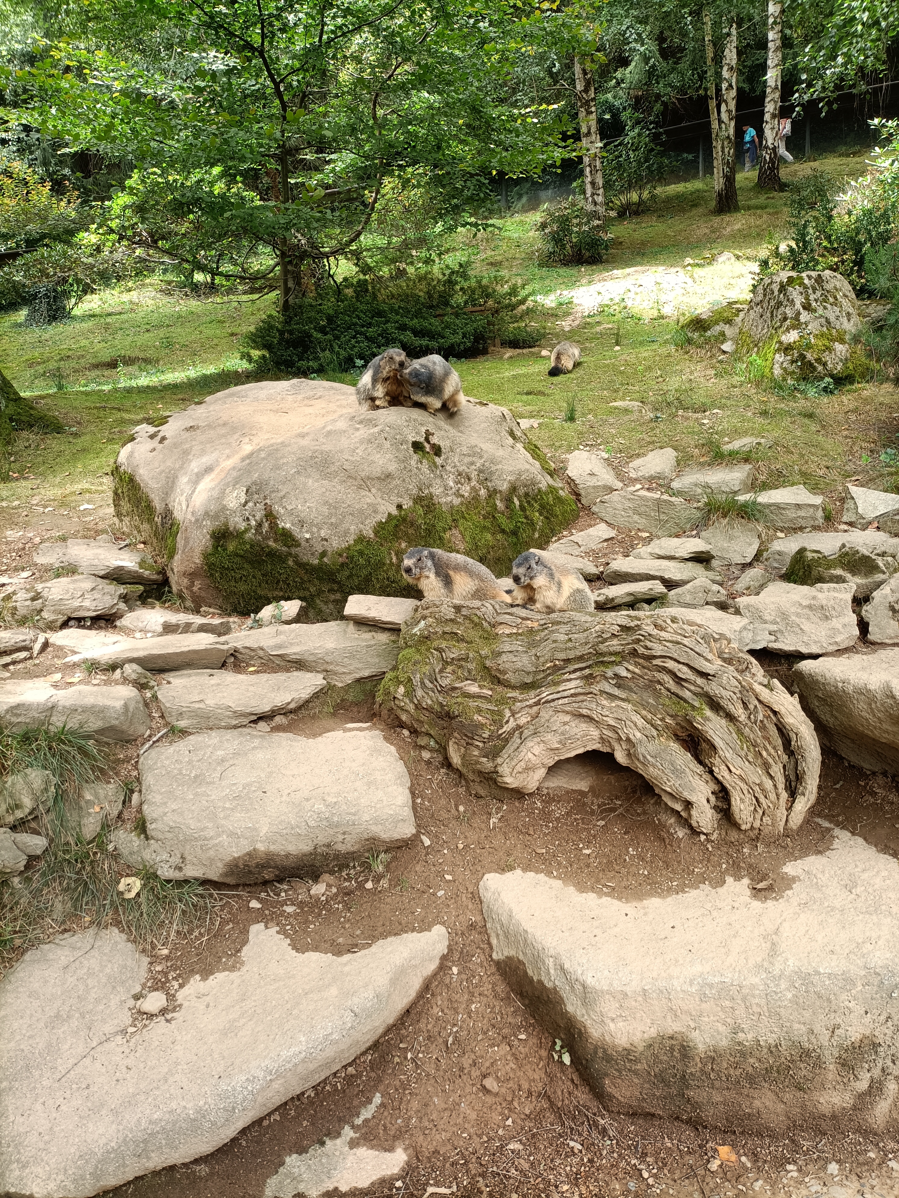 Photo n° 5 de l'avis de Jessica. fait le 07/08/2023 à 06:57