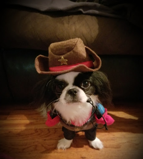 Walker Veterinary Services image