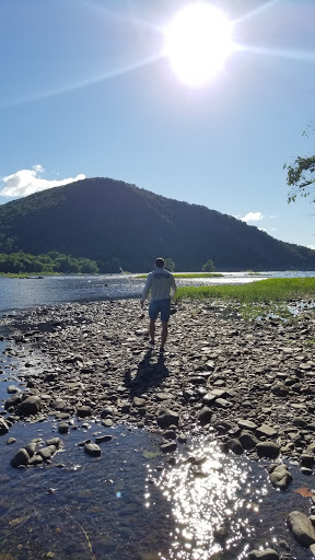 Tourist Attraction «Dauphin Narrows Statue Of Liberty», reviews and photos, US-22, Dauphin, PA 17018, USA