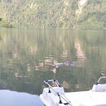 Photo n°6 de l'avis de Fernanda.r fait le 28/06/2021 à 20:06 sur le  Il mondo di Fortunato à Rocca