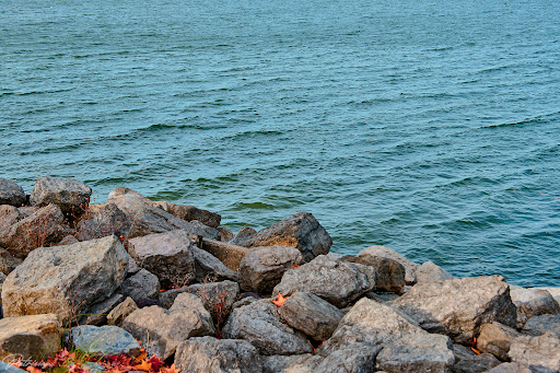 Tourist Attraction «West Branch State Park Beach», reviews and photos, Esworthy Rd, Ravenna, OH 44266, USA