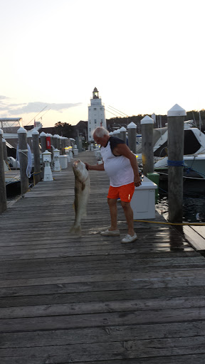 Used Car Dealer «Rooney Motors Ltd», reviews and photos, 301 NY-22, Pawling, NY 12564, USA