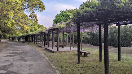 田尻緑地公園
