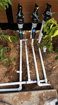 DMA Landscaping INC - Photo 6 - Car repair in , Los Angeles