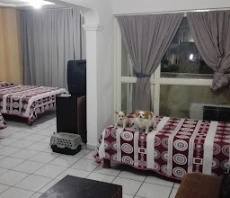 Hotel Paseo photo