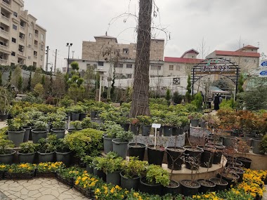Flower Garden