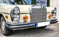 Zippy Auto Transport - Photo 3 - Car repair in , Chattanooga