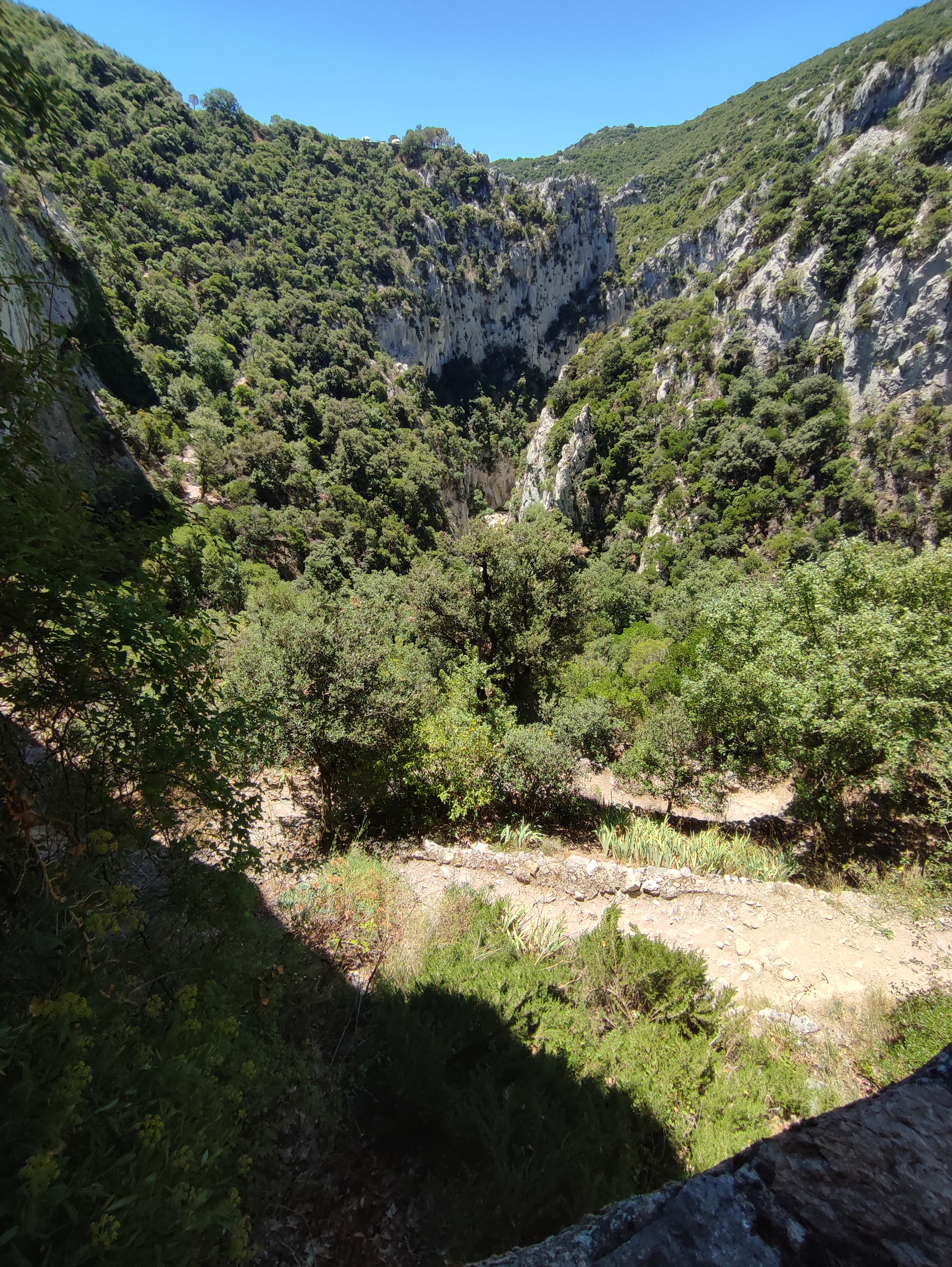 Photo n° 4 de l'avis de s.l fait le 09/07/2022 à 21:43