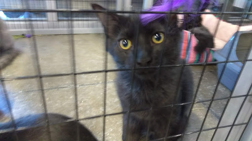 Pet Store «PetSmart», reviews and photos, 1580 Gateway Blvd, Fairfield, CA 94533, USA