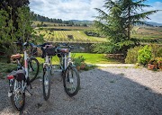 Bikemotions: Bike Tours & Bike Rentals en Lavern