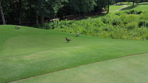 Golf Club «Cobblestone Park Golf Club», reviews and photos, 1298 University Pkwy, Blythewood, SC 29016, USA