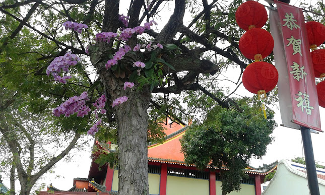 普忠廟 - 普忠殿助善堂 - 大宋三忠王 Poh Chung - Singapore