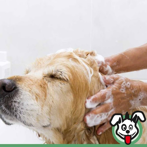 Pet Family Veterinária em Jacareí - SP