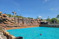 Disney's Typhoon Lagoon Water Park