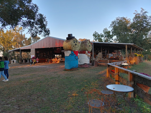 Tourist Attraction «Sugar Hill U-pick Farms», reviews and photos, 3595 Co Rd 59, Verbena, AL 36091, USA