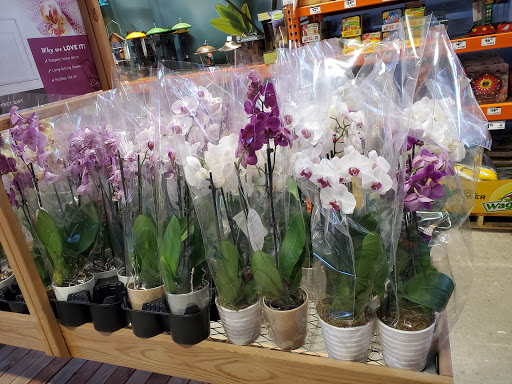 Home Improvement Store «The Home Depot», reviews and photos, 13929 Manchester Rd, Ballwin, MO 63011, USA