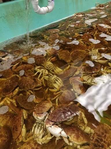 Seafood Market «Mekong Market», reviews and photos, 314 Broad St, Providence, RI 02907, USA