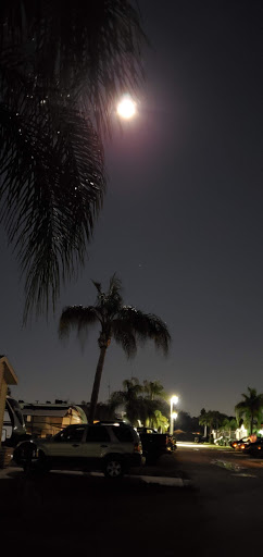 Campground «Seven Springs Travel Park», reviews and photos, 8039 Old Co Rd 54, New Port Richey, FL 34653, USA