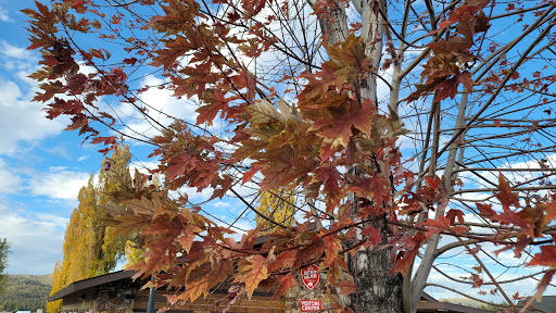 Big Bear Visitor Center - Visit Big Bear image