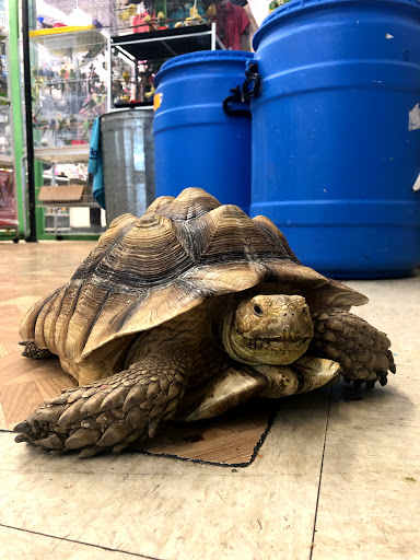 Pet Supply Store «Super Pet Store», reviews and photos, 5220 S Pulaski Rd, Chicago, IL 60632, USA