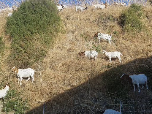 Shopping Mall «Country Hills Shopping Center», reviews and photos, 2905 Rolling Hills Rd, Torrance, CA 90505, USA