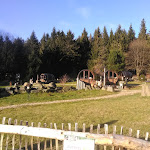 Photo n°2 de l'avis de Klaus-Peter.e fait le 07/12/2020 à 06:41 sur le  Taufsteinhütte à Schotten